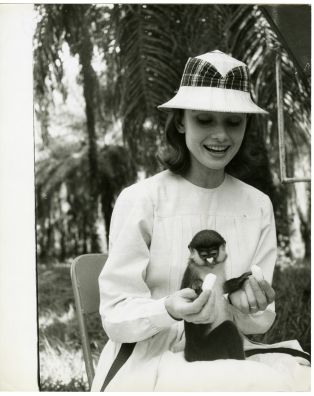 Audrey Hepburn lors du tournage du film "Vertes demeures" ("Green Mansions", Mel Ferrer, 1959). Photo par Leo Fuchs, Globe Photos
