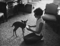 Audrey Hepburn prend soin de "Pippin the fawn" lors du to...